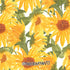 Bouffants and Broken Hearts Sunflowers Nintendo 2DS XL (2017) Skin